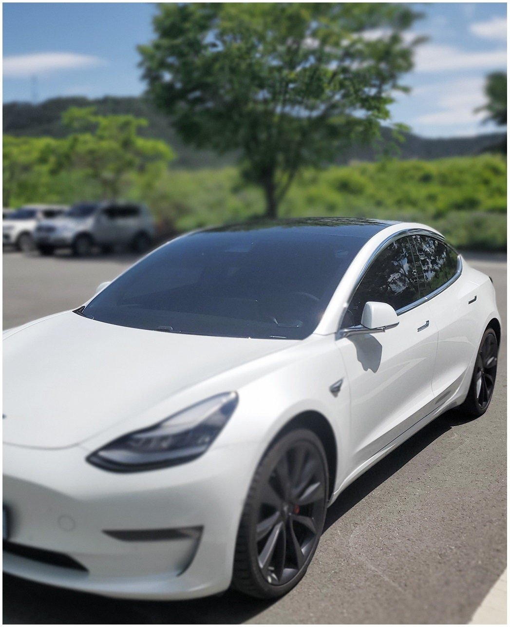 E0330 - Autoclover Rain Guards for Tesla Model3 2017-2022 (4PCs) Chrome Finish Tape-On Style - northernprimesupply